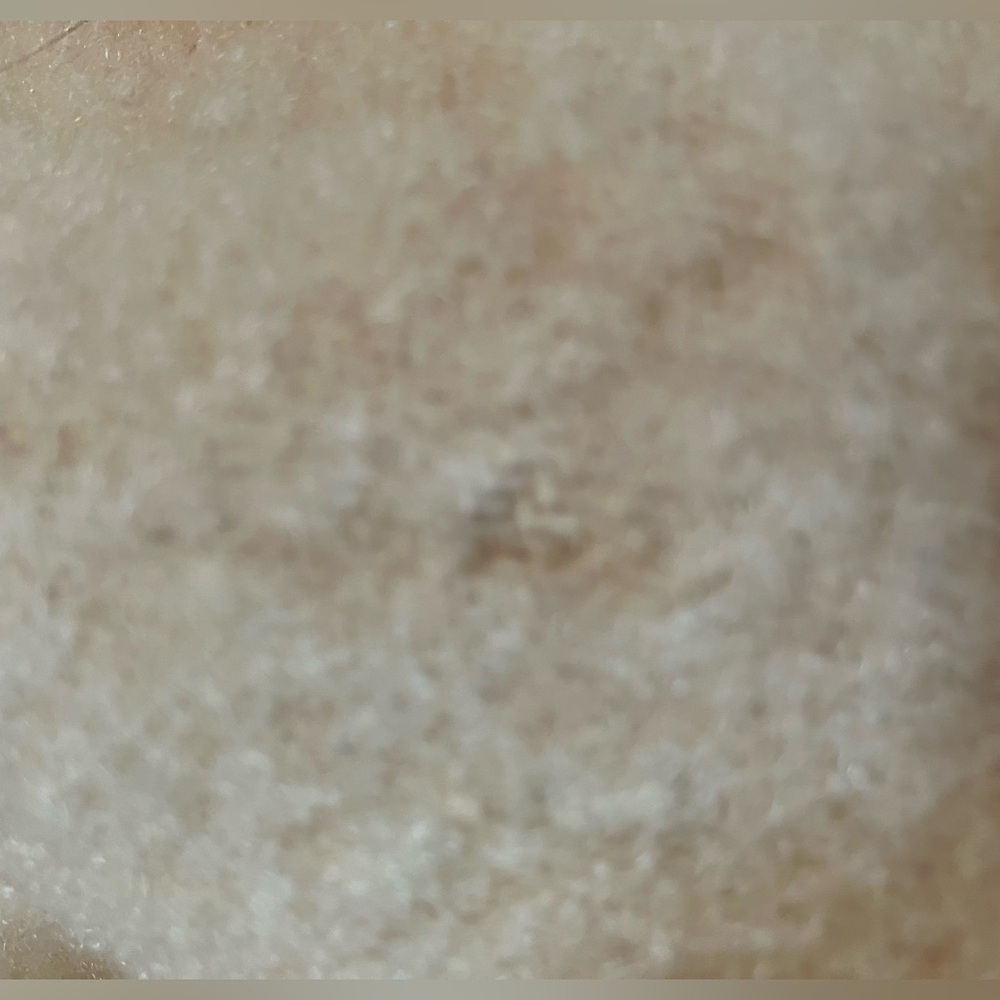 Mid-Century Wool Blanket - Picture 4 of 16